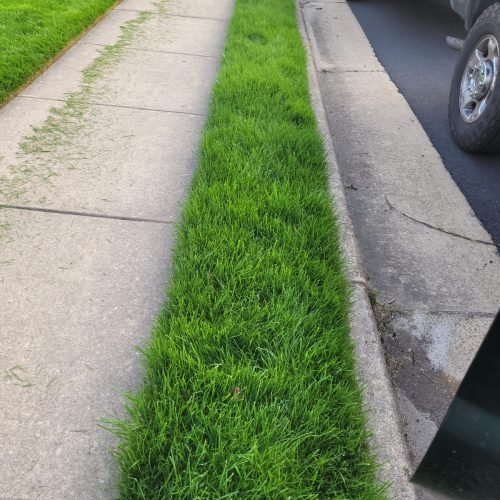 WhatsApp-Image-2023-01-11-at-20.20.42